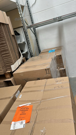 Pallet Ingrosso Premium Mysterzon — Elettronica, Pokémon & Casa